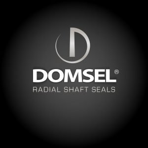 DOMSEL AG Logo